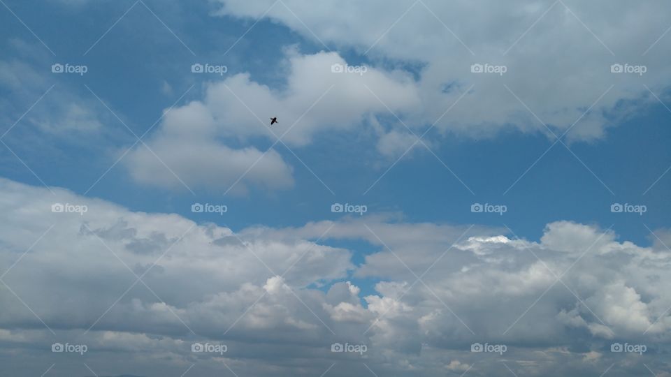 Sky, Daylight, No Person, Airplane, Outdoors