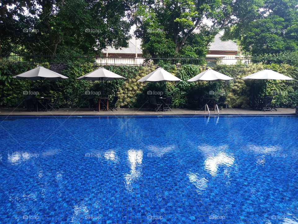 empty swimming pool under green tree
