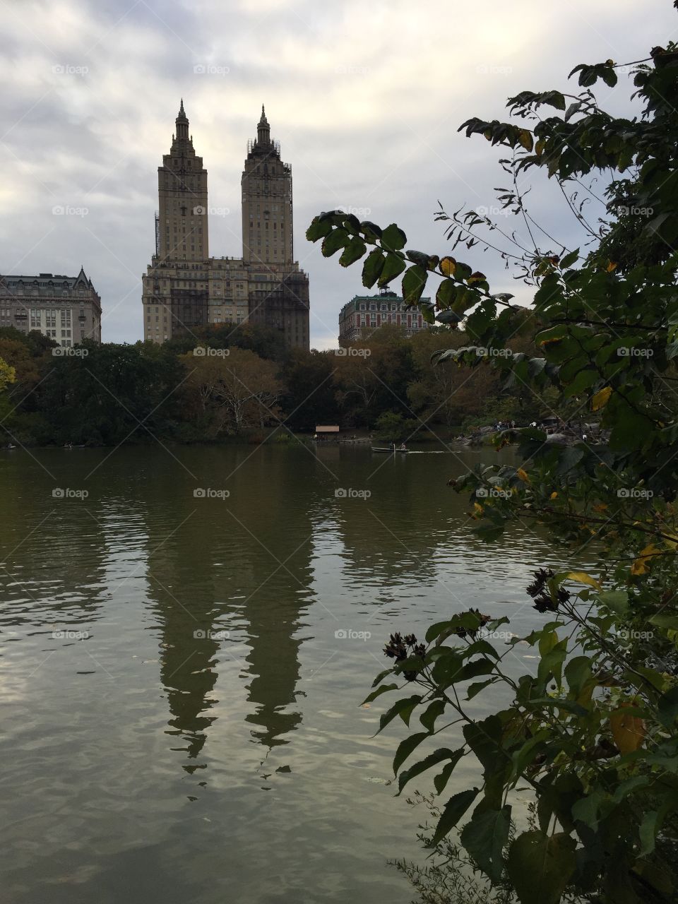 Central Park view 