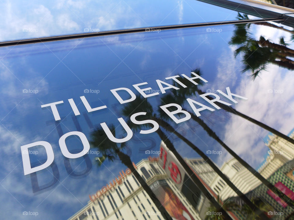 "Til death do Us Part" window sign