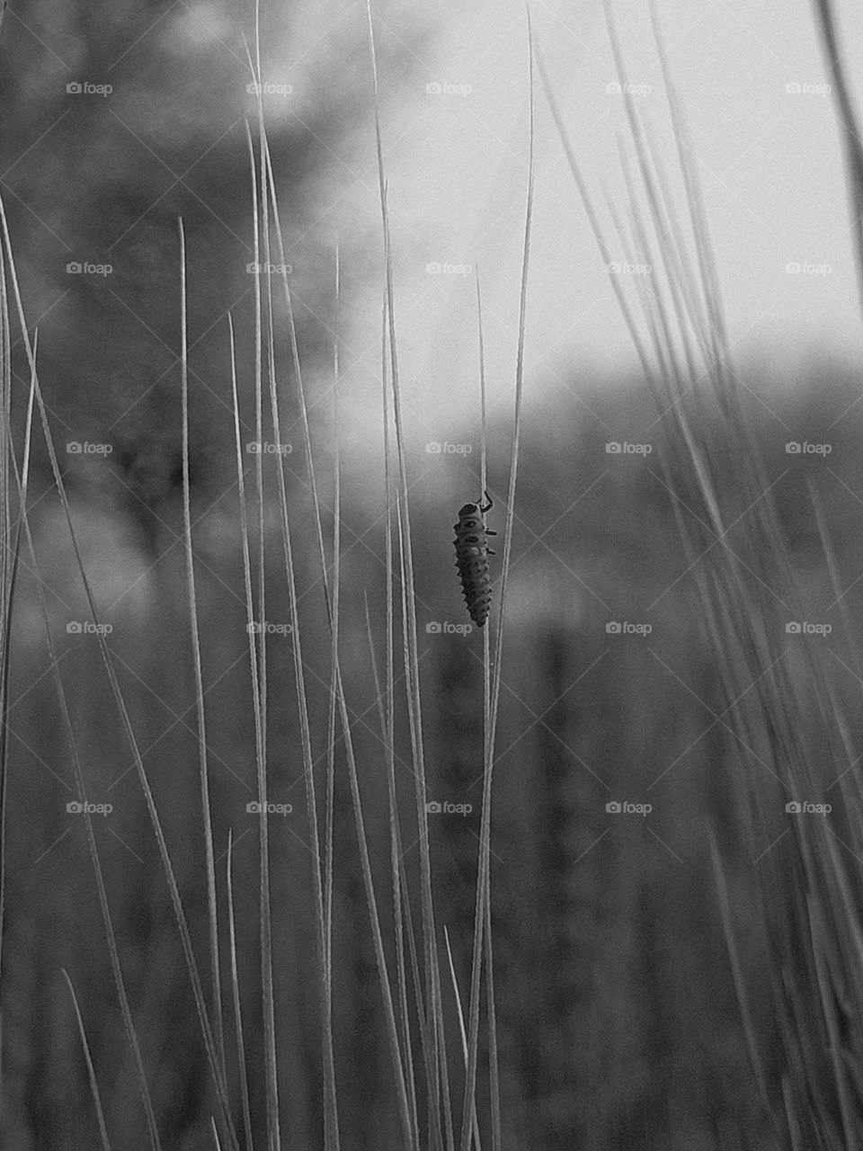 Photograph of the week