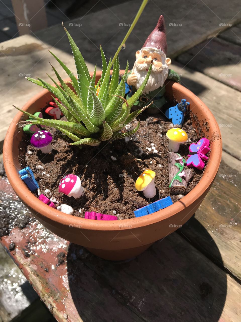 Small fairy garden projects with my little one! Super amazing early summer project and fun to watch grow.