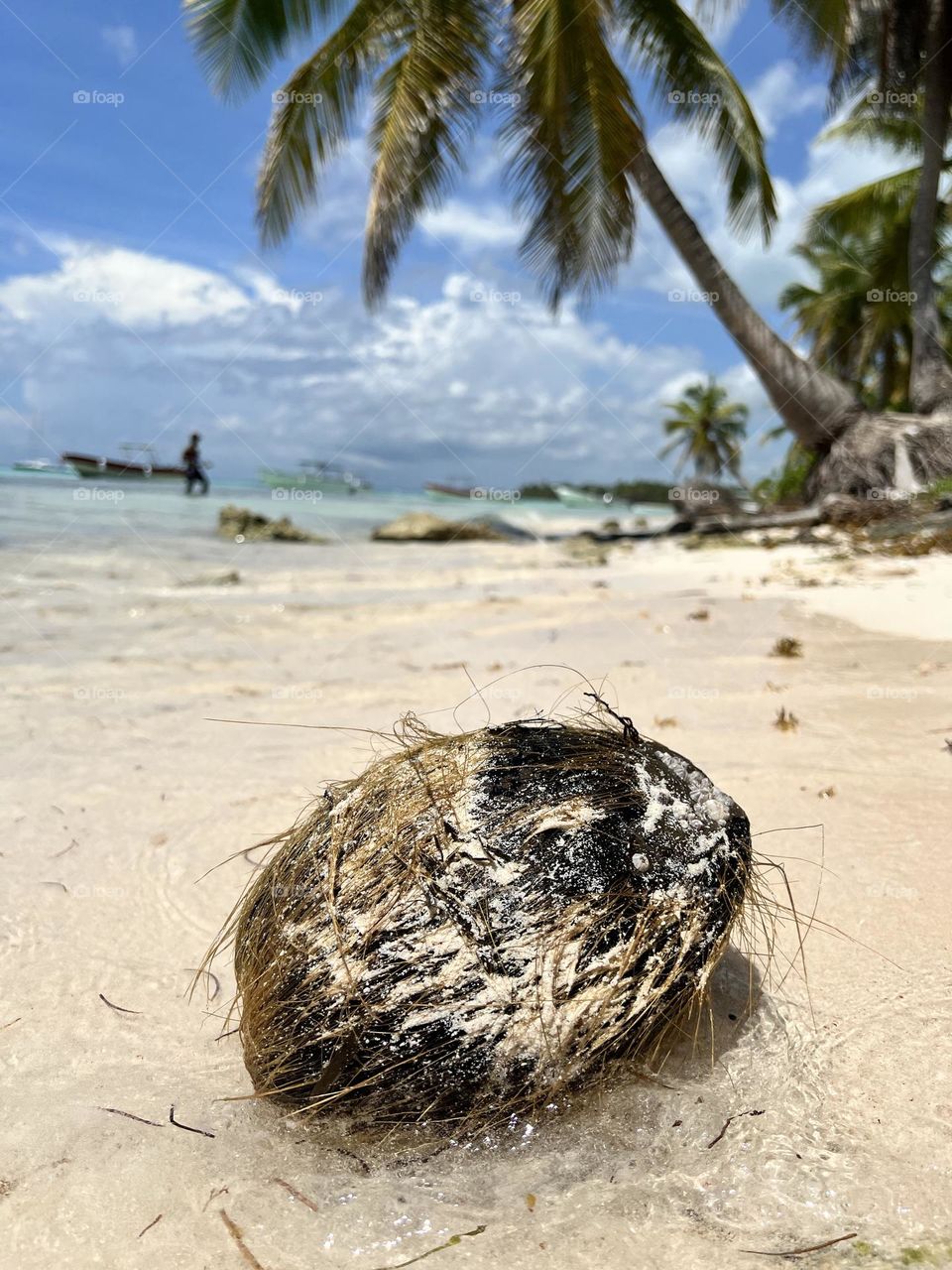 Caribbean Life. Dominican Republic 