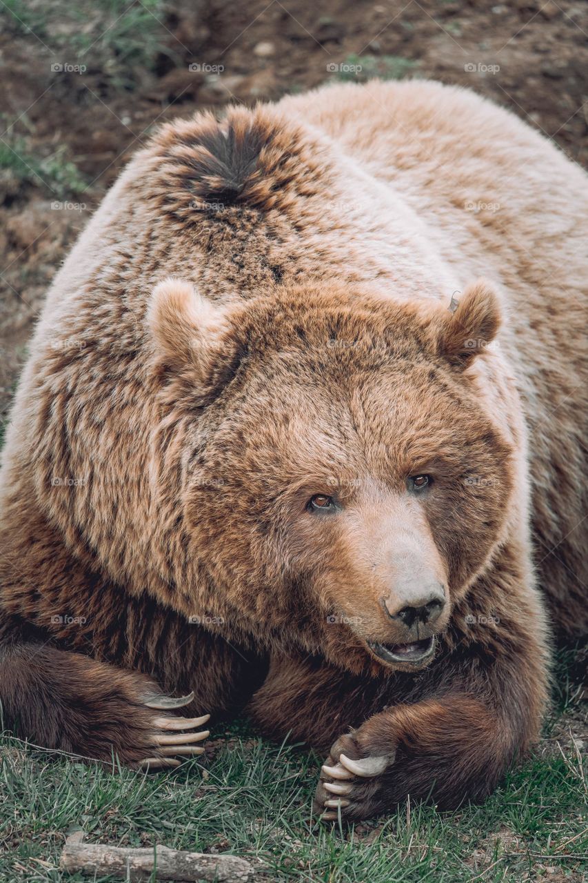 Whatever I have learned, I will put my whole life and learning