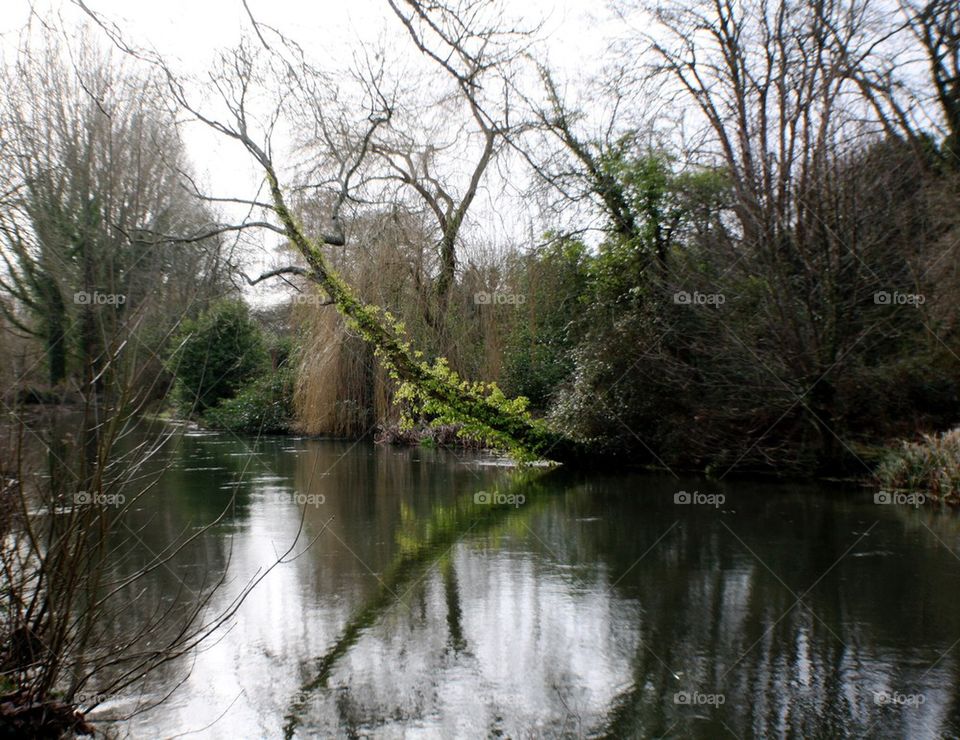 Reflections on the river