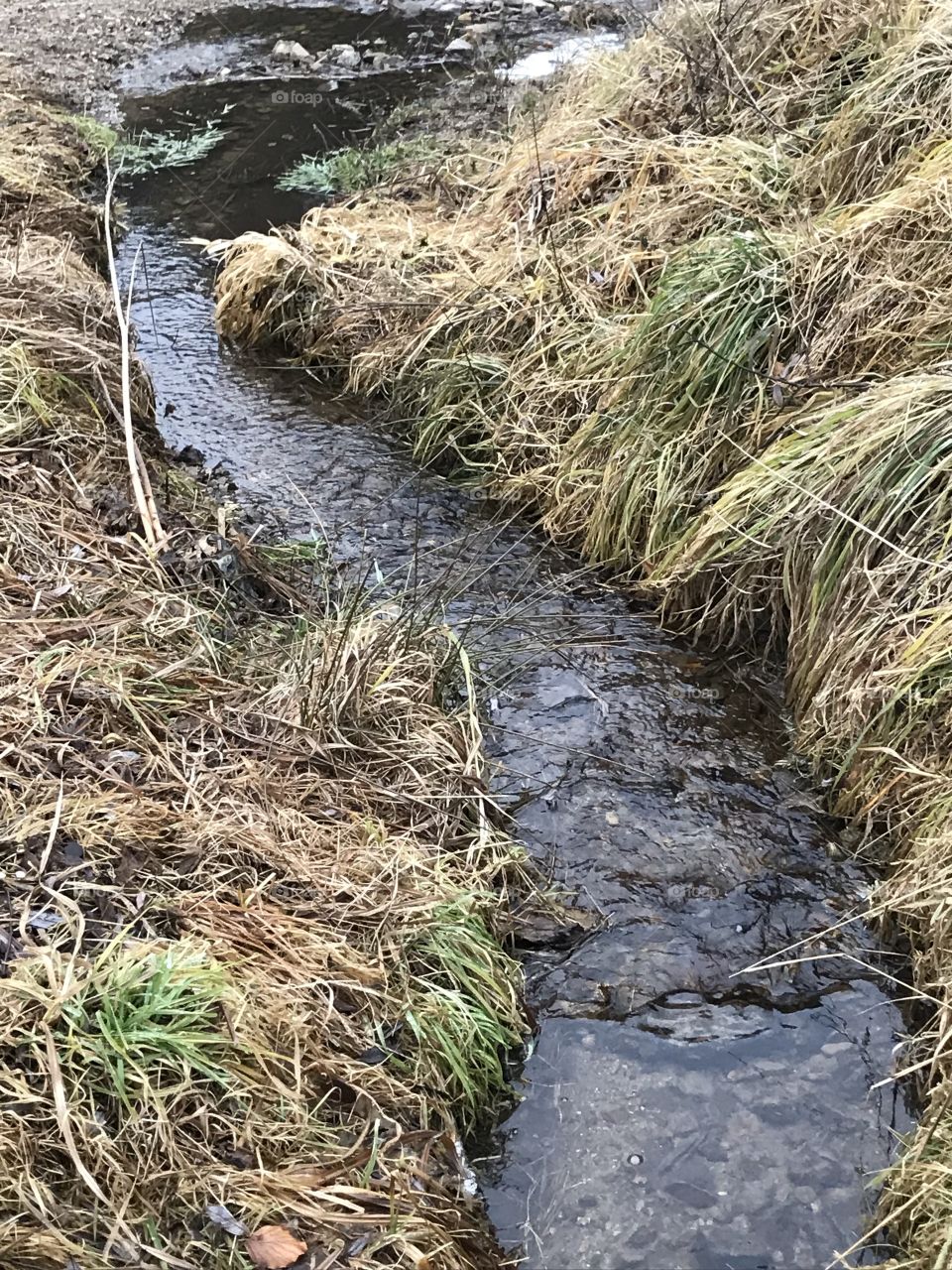 Wasser, Fluss, Flusslauf