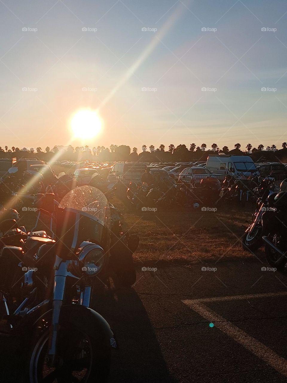 hundreds of motorbike parked at a festival at sunset