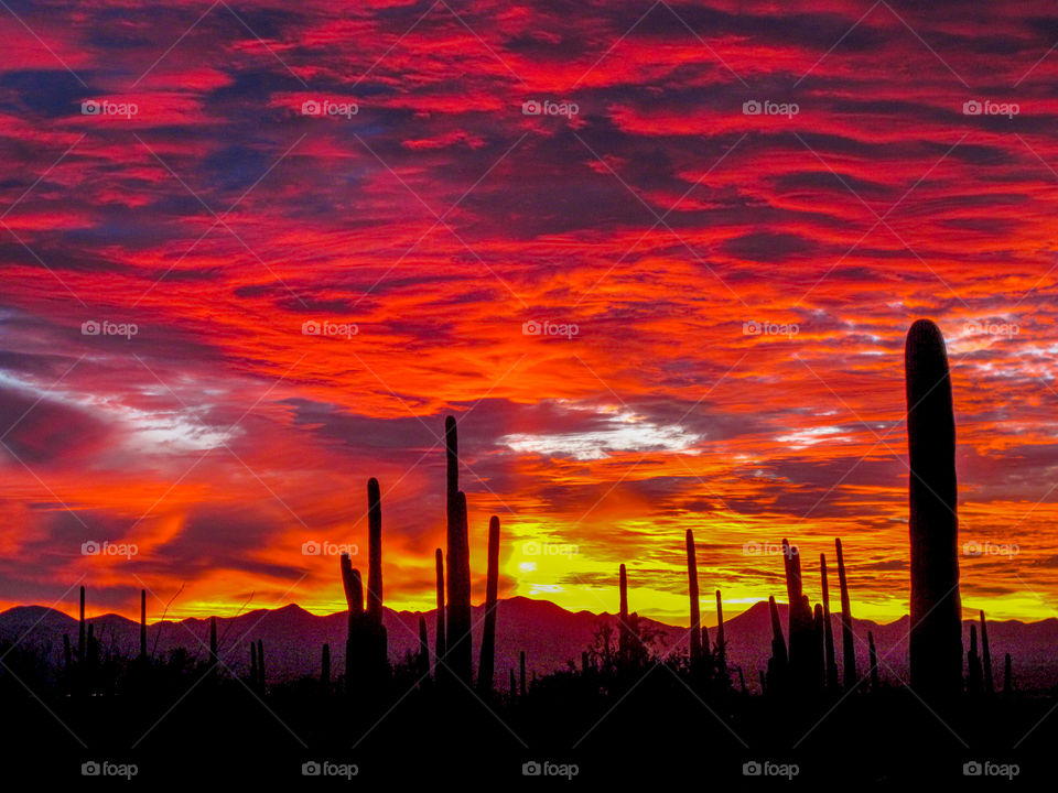 Sunset, Dawn, Silhouette, Sun, Landscape