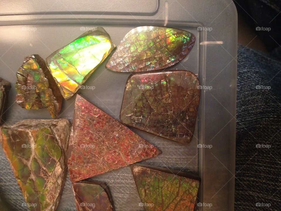 Alberta Ammolite Collection. Found only in southern Alberta, Canada