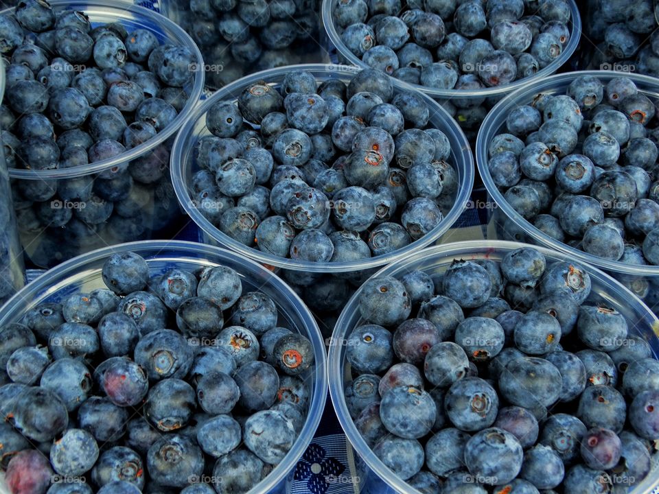 Fresh Blueberries

