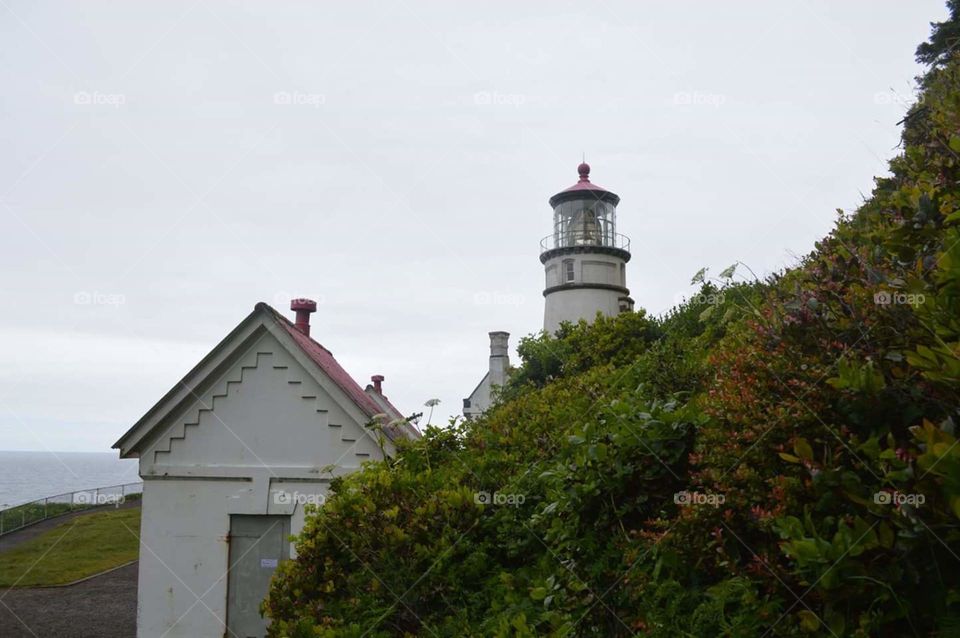 Hecta Head Lighthouse, N. Florence, OR