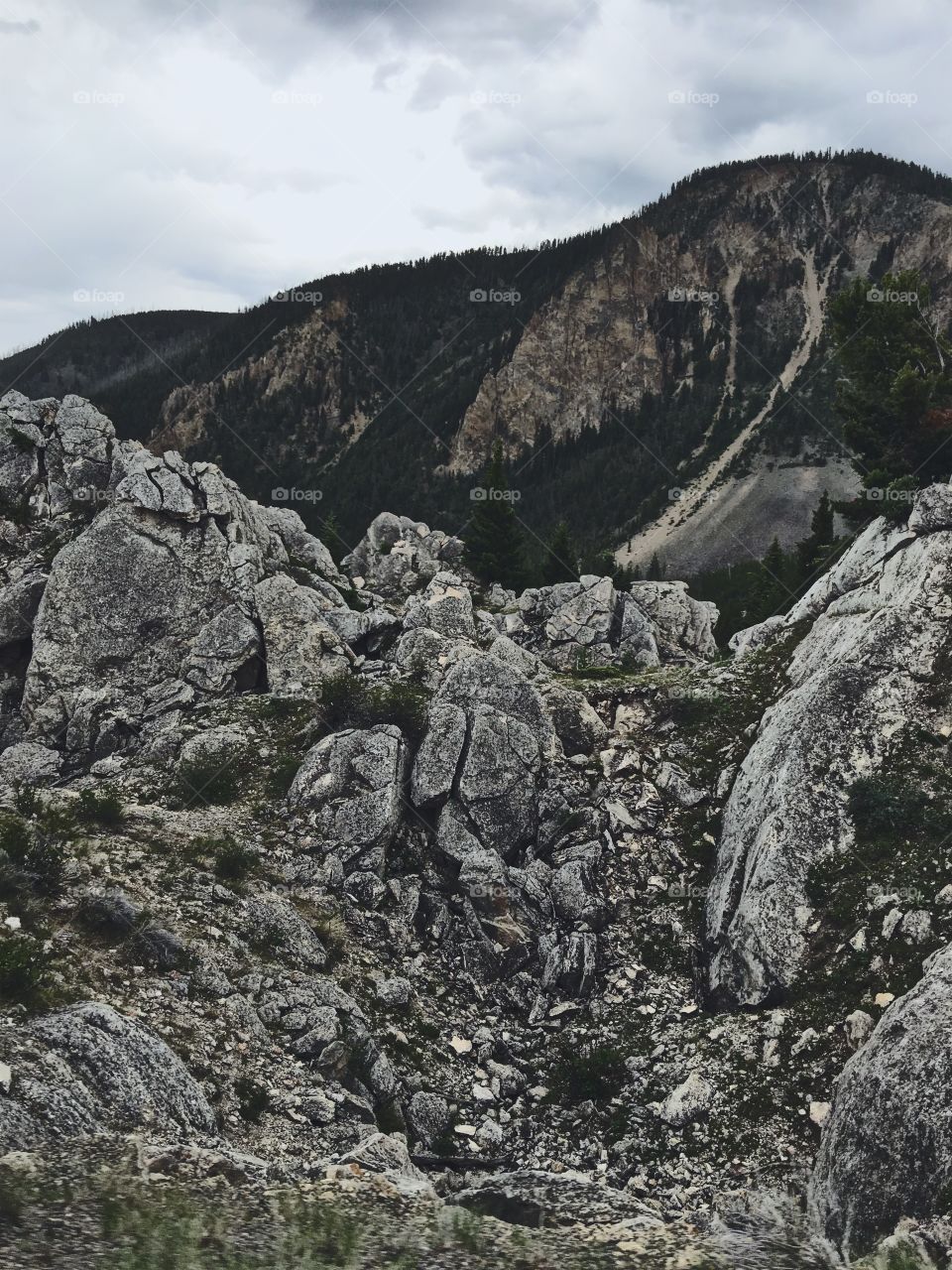 The rocks of Yellowstone 