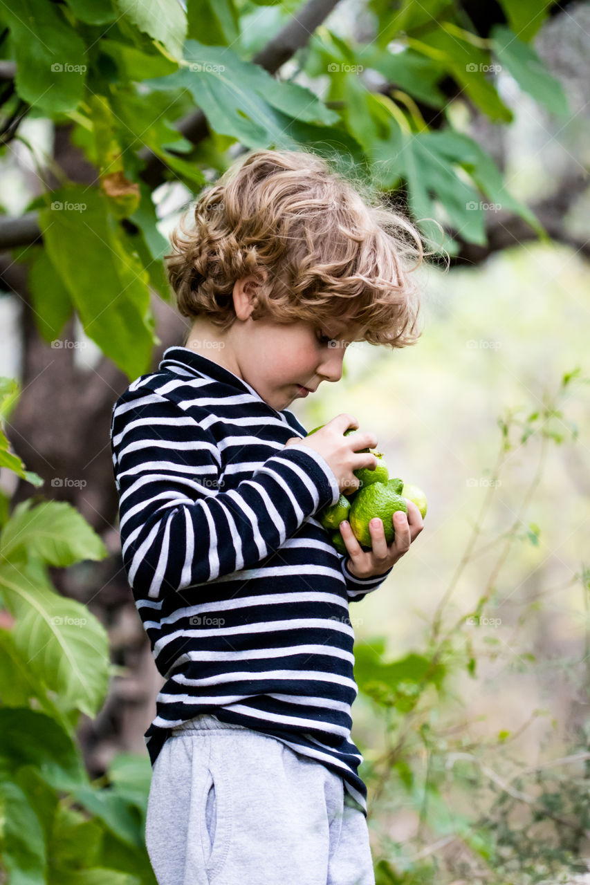 profile view of a caucassion boy holding green lemons in front of a fig tree