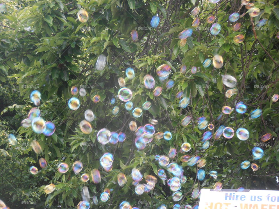 Floating Bubbles