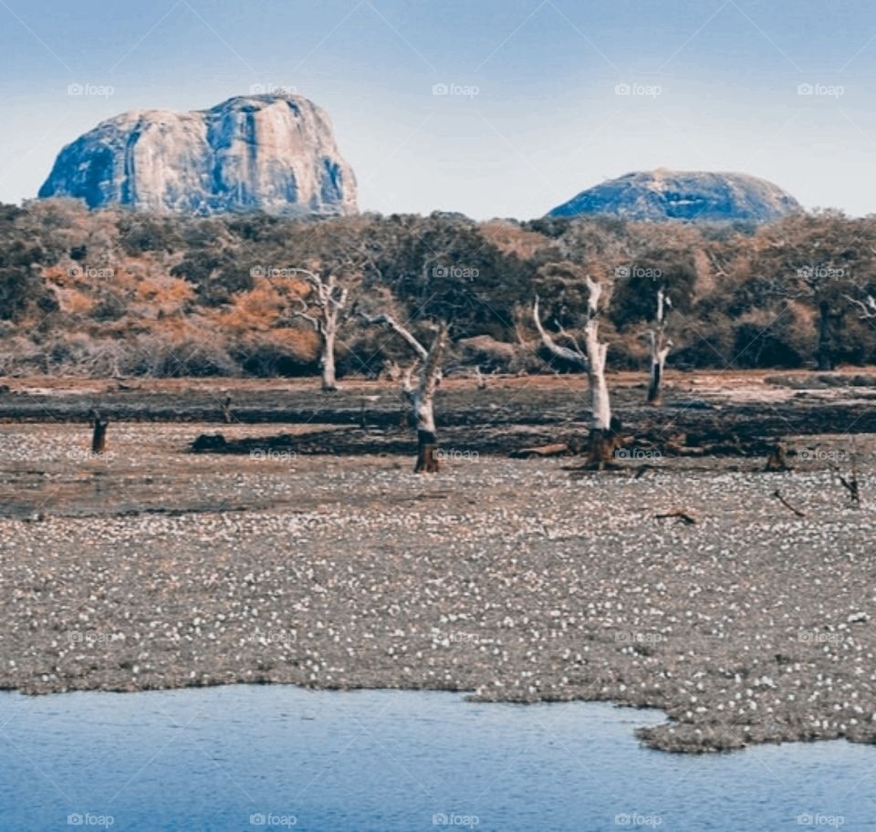 My camera phone eye's