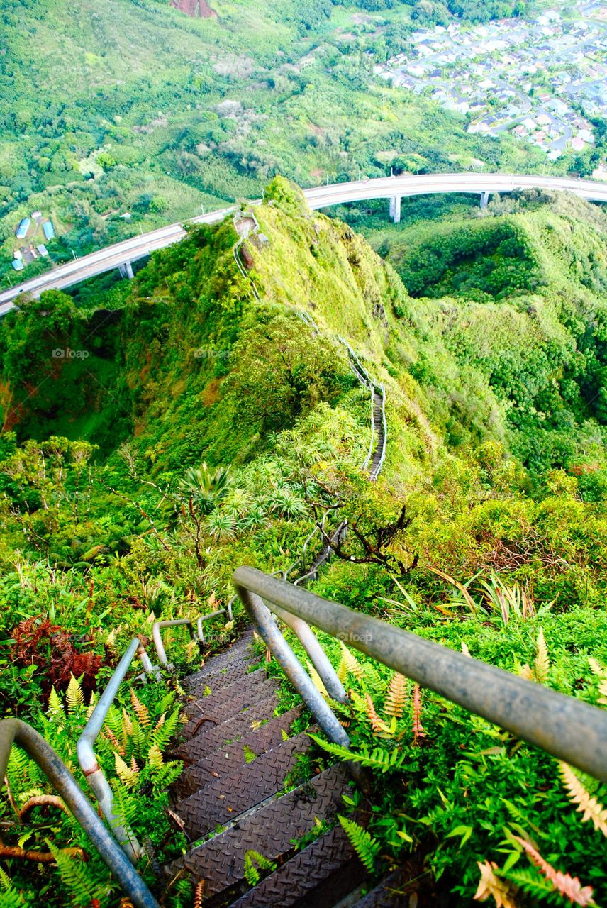Stairway to Heaven in Hawaii
