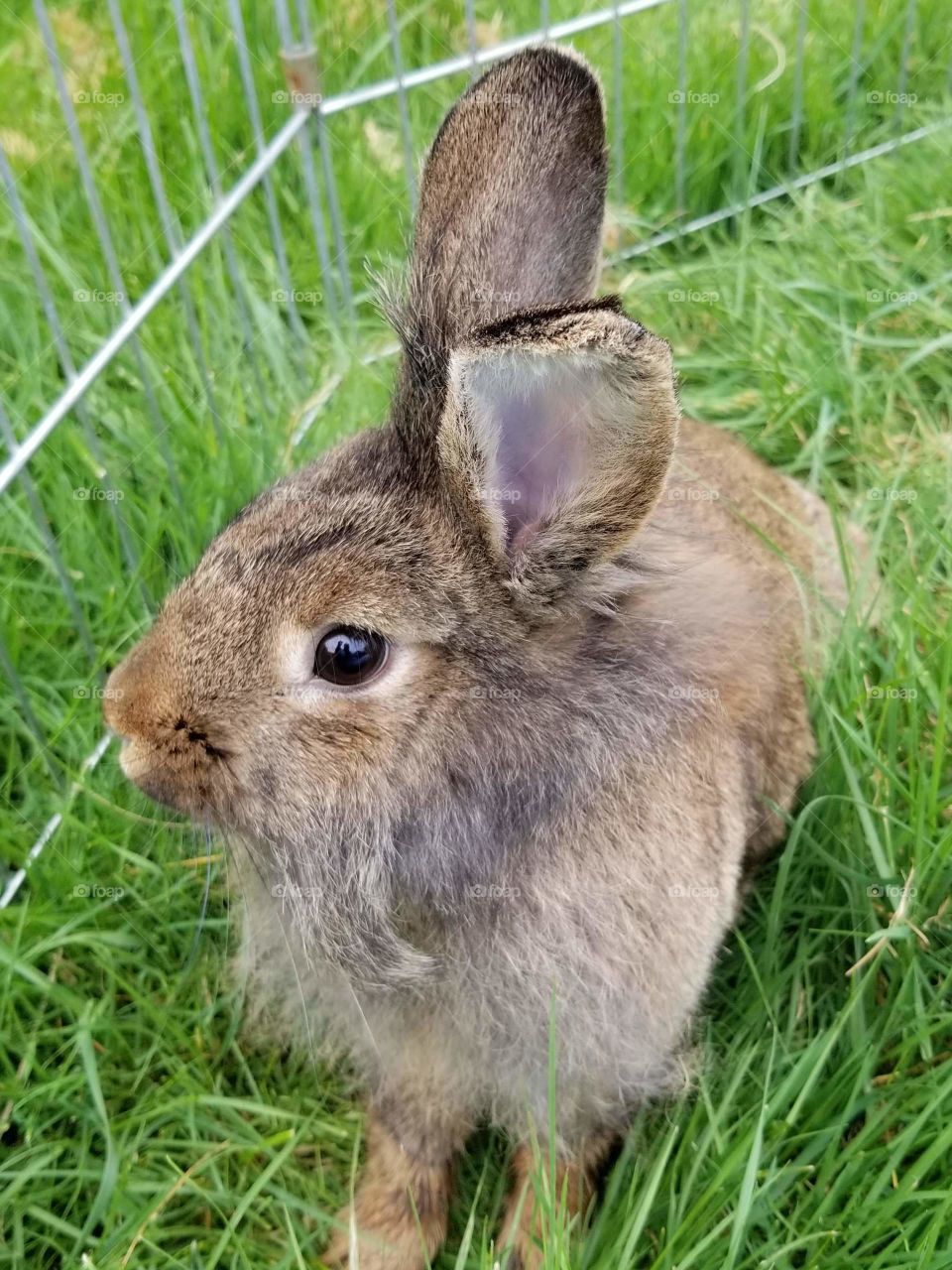 Patunia Enjoying the great outdoors