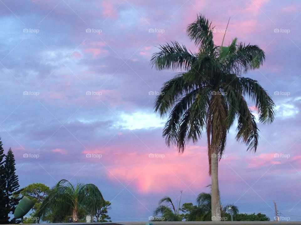 Sunset Jan 6, 2017 2