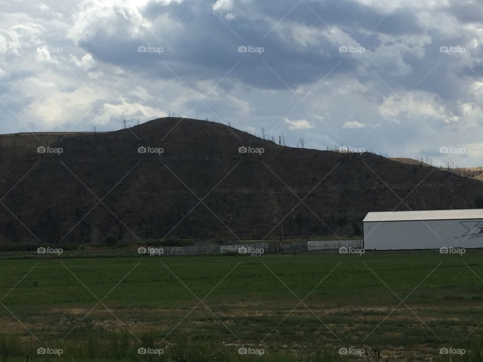 Landscape, No Person, Agriculture, Cropland, Grassland