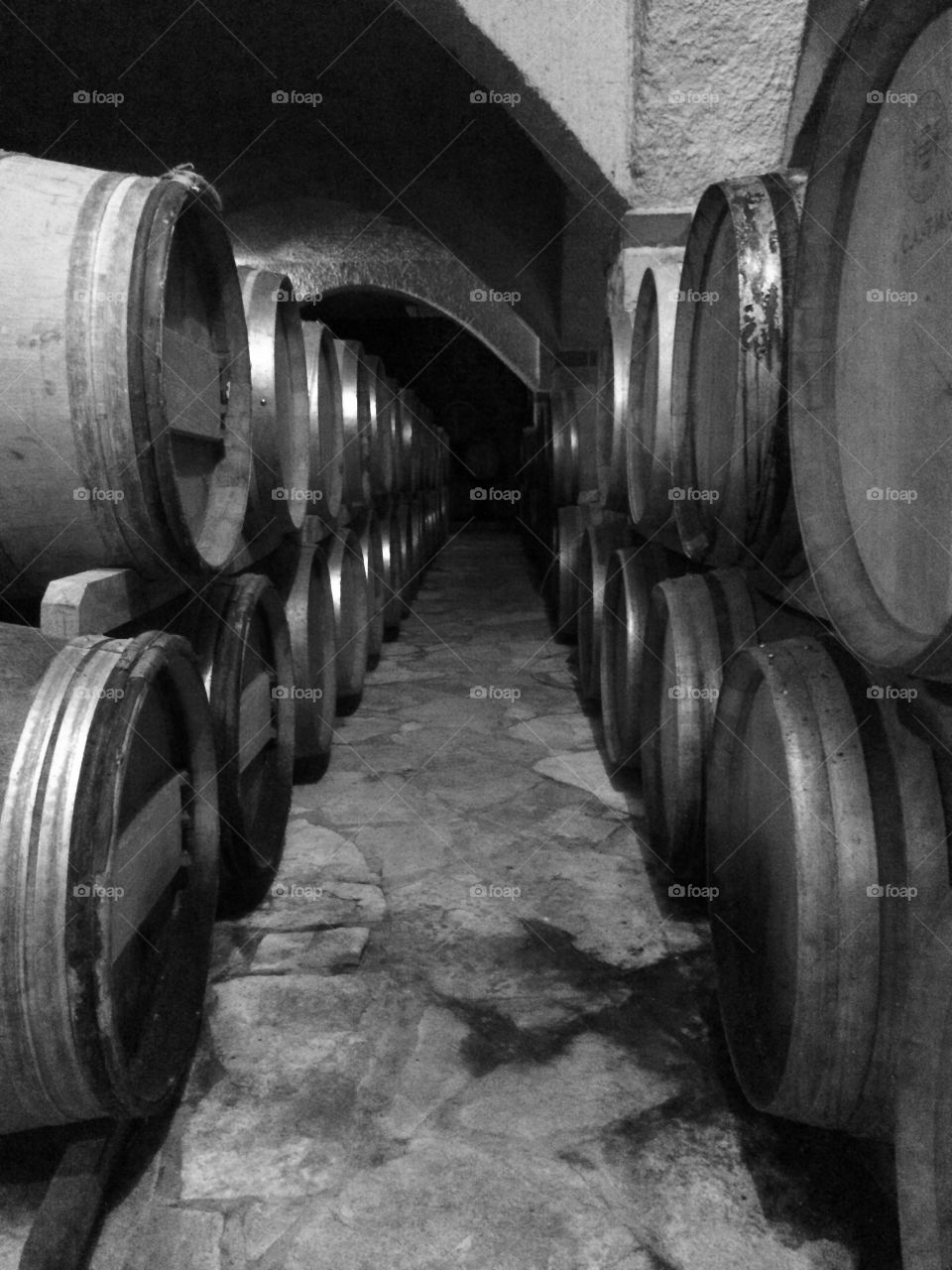 Wine in barrels 