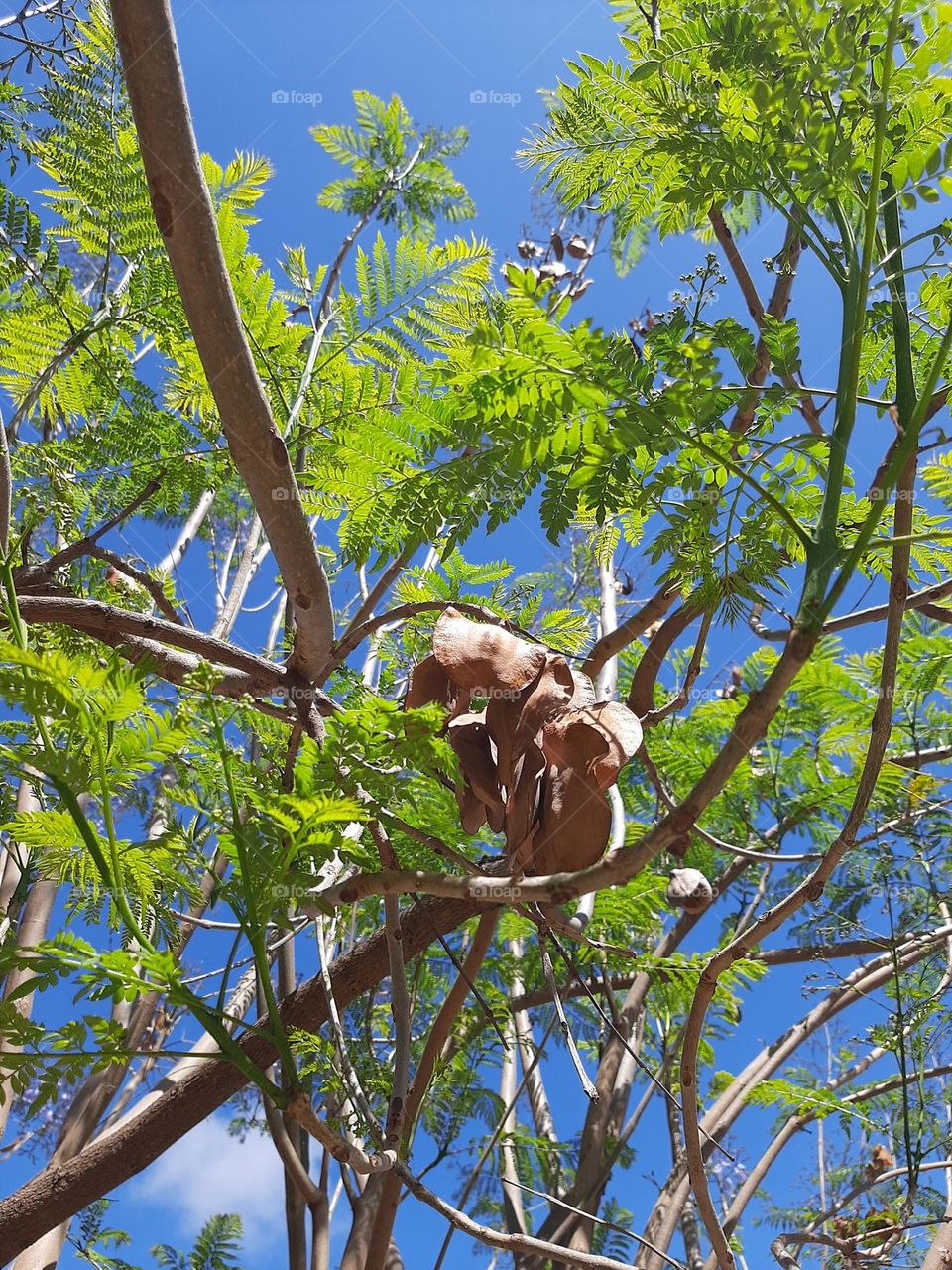 Green from the ground up