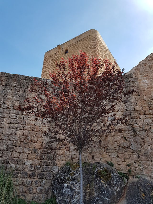 Torre