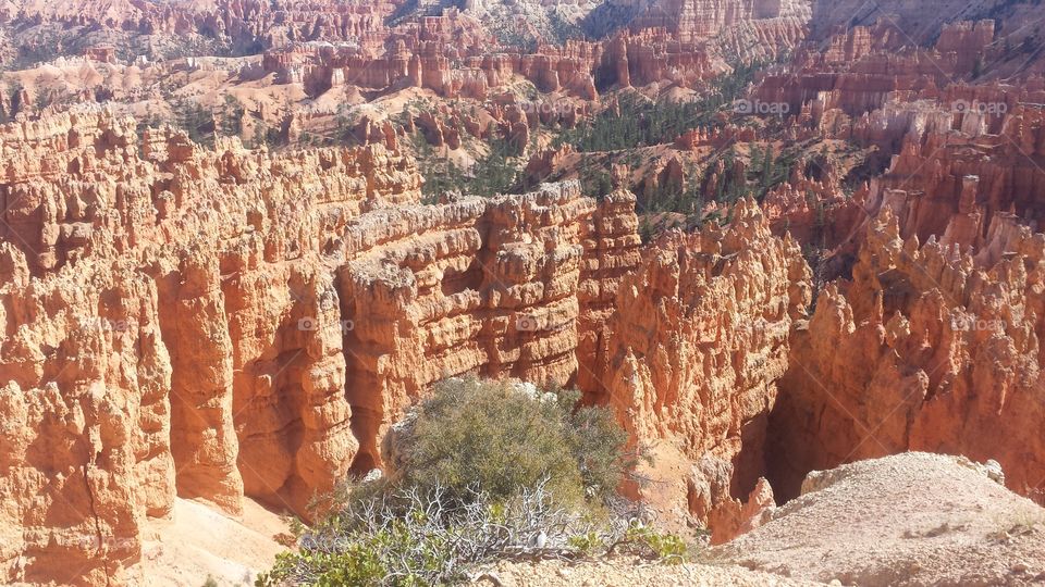 Bryce Canyon