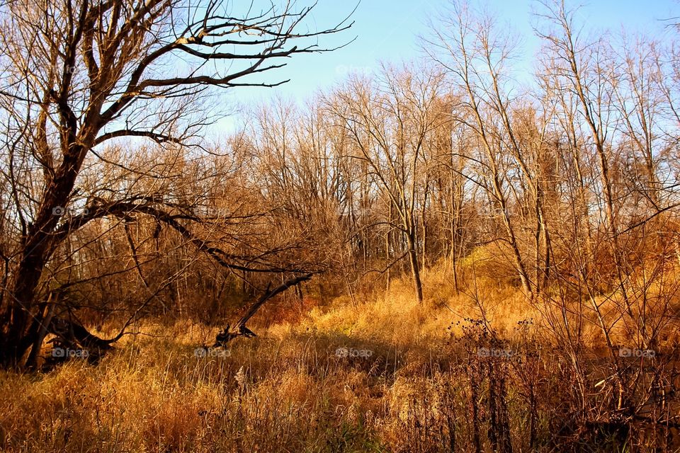 November in Wisconsin 