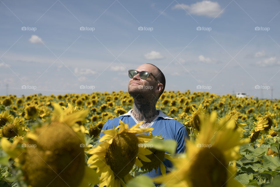 Hipster in Sunflowers