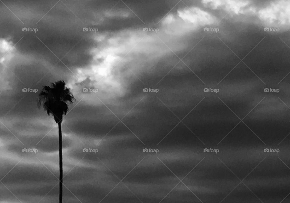 Monsoon stormy weather in Downtown Phoenix 