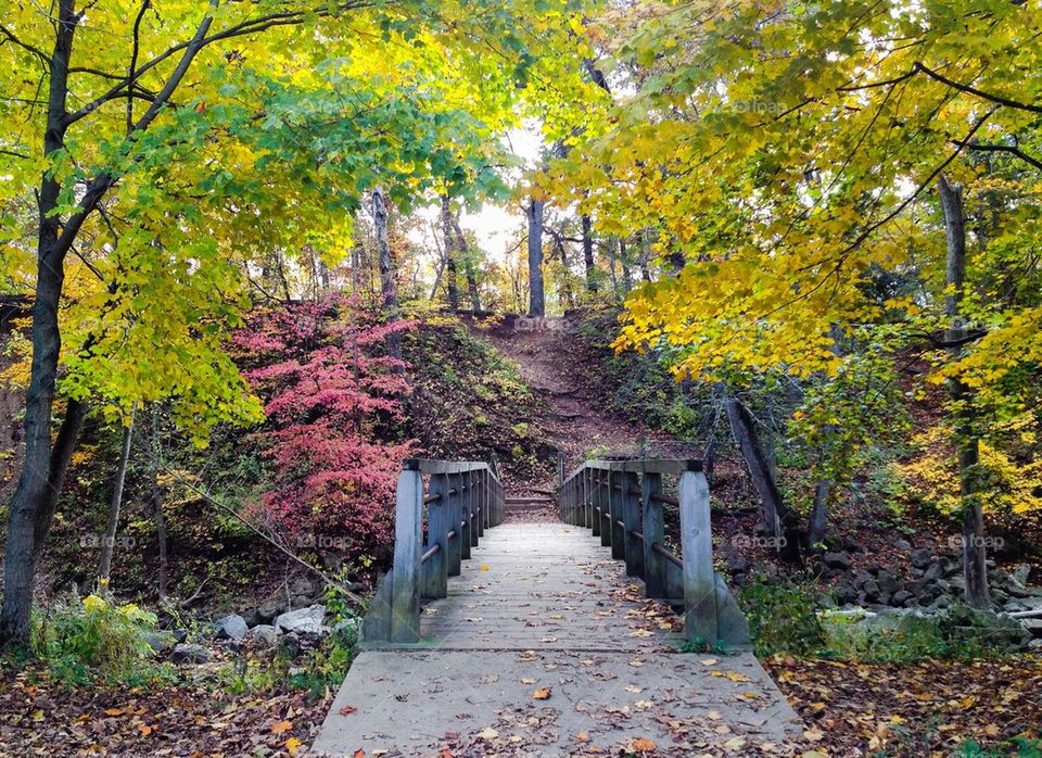 Petrifying Springs Park