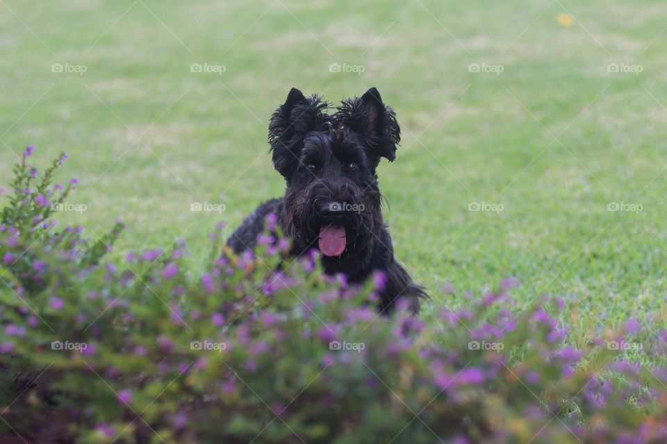 It’s spring and we love it