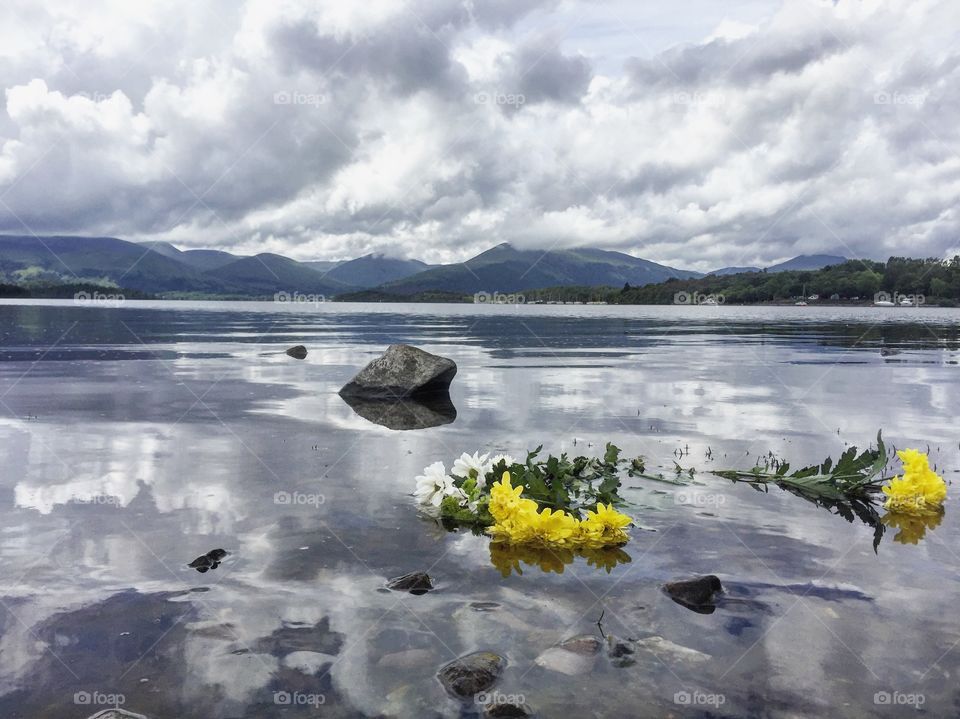 Balmaha Shore Flowers