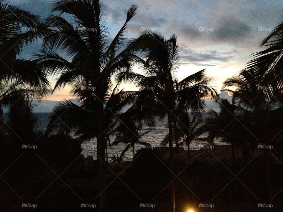 Evening ocean view
