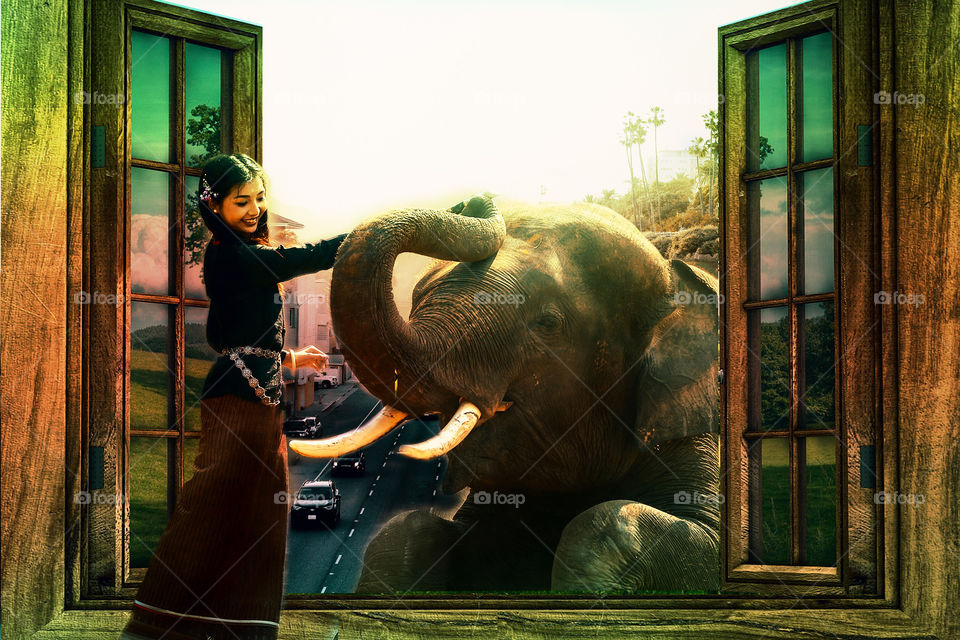 #elephent #girl #window #enviornment #manipulation #ps #adobe #photoshop #edits #3d #designgraphic  #DoubleExposure #effect