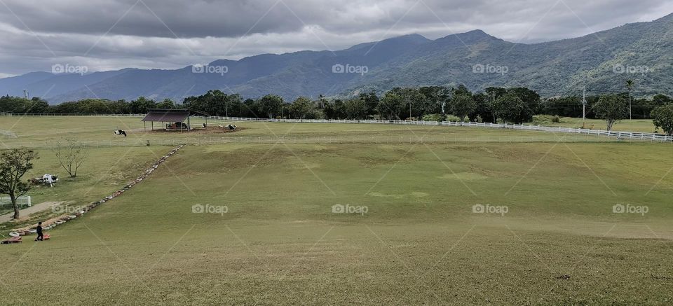 Beinan Township Chulu Ranch Green Field