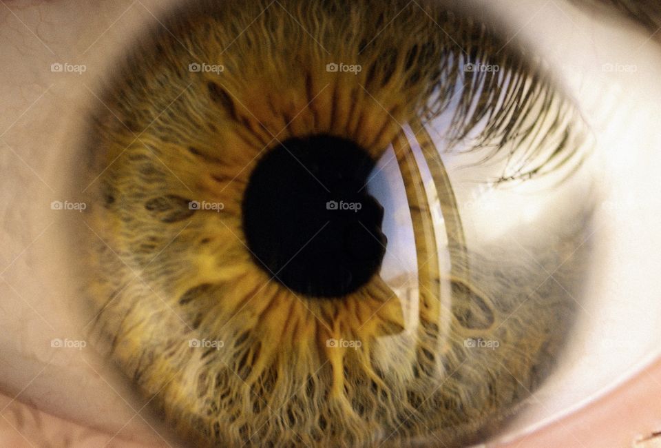 Detail of human eye