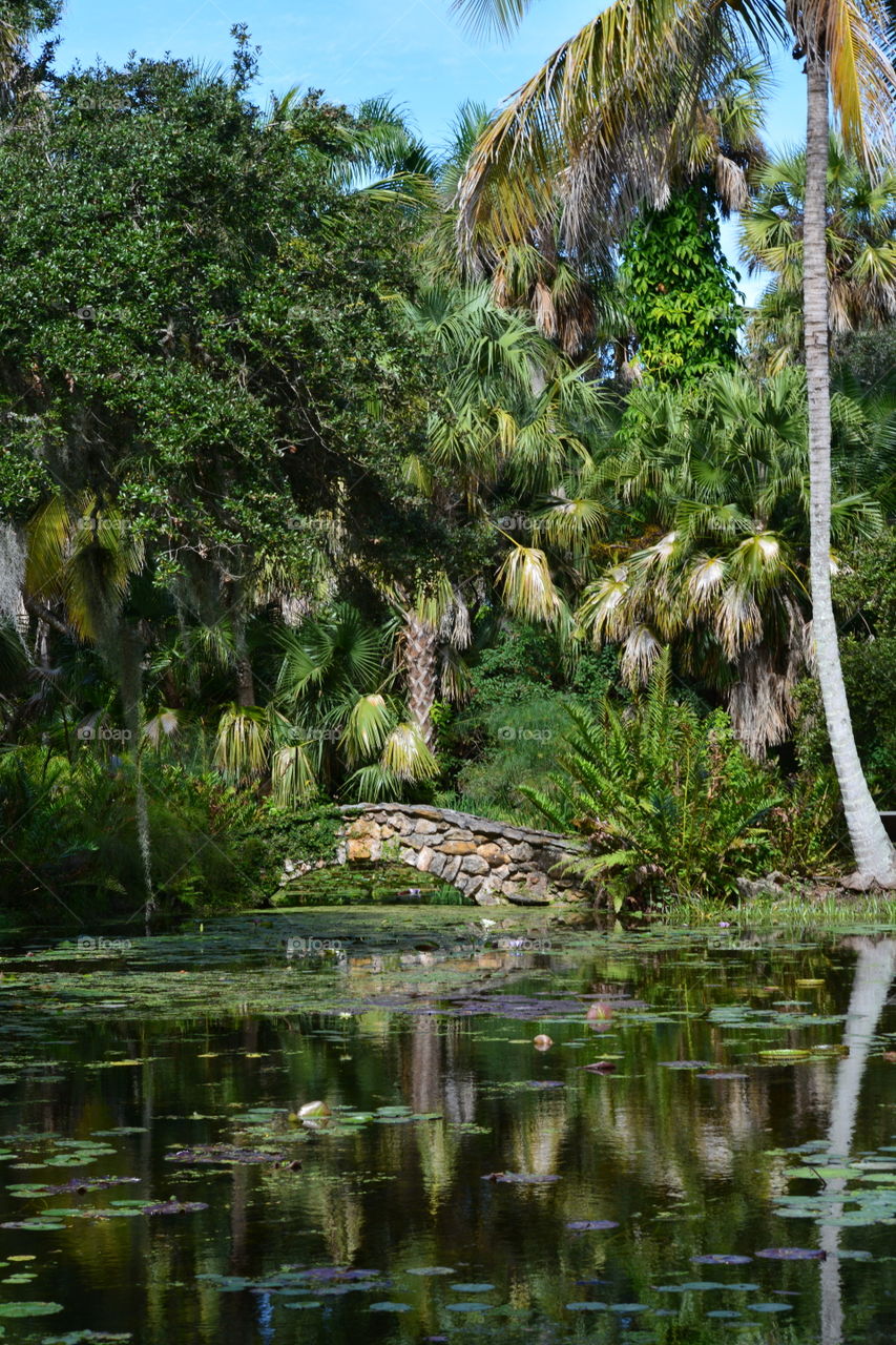 Rock Bridge over Lilly Pond in Tropical Vero Beach Florida. McKee Botanical Gardens.