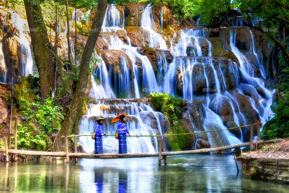 Beautiful Shan Ladies Crossing the Bamboo Bridge near waterfall ! (TawKyal Waterfall, southern Shan State, Myanmar. )