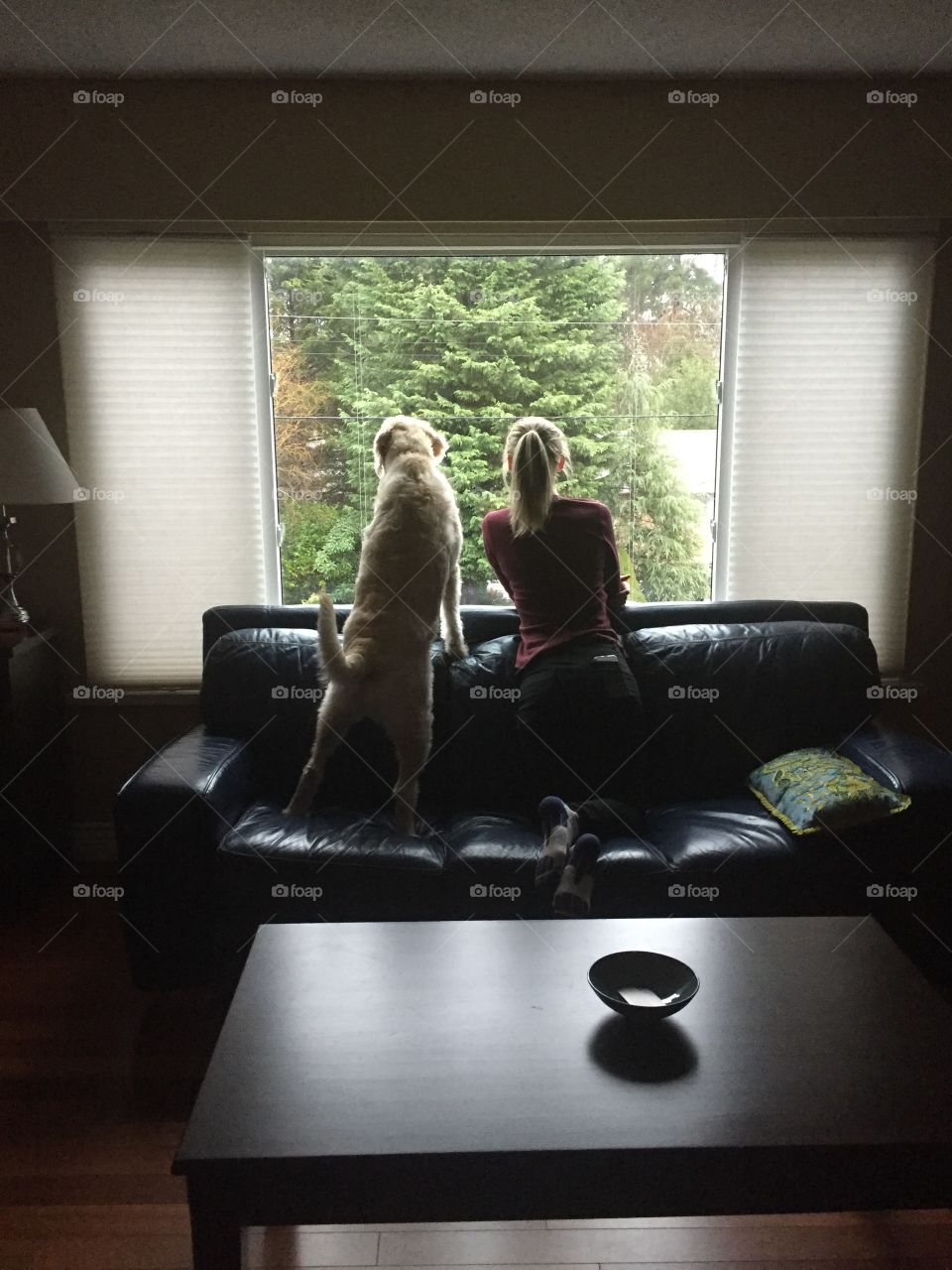 Looking out the window