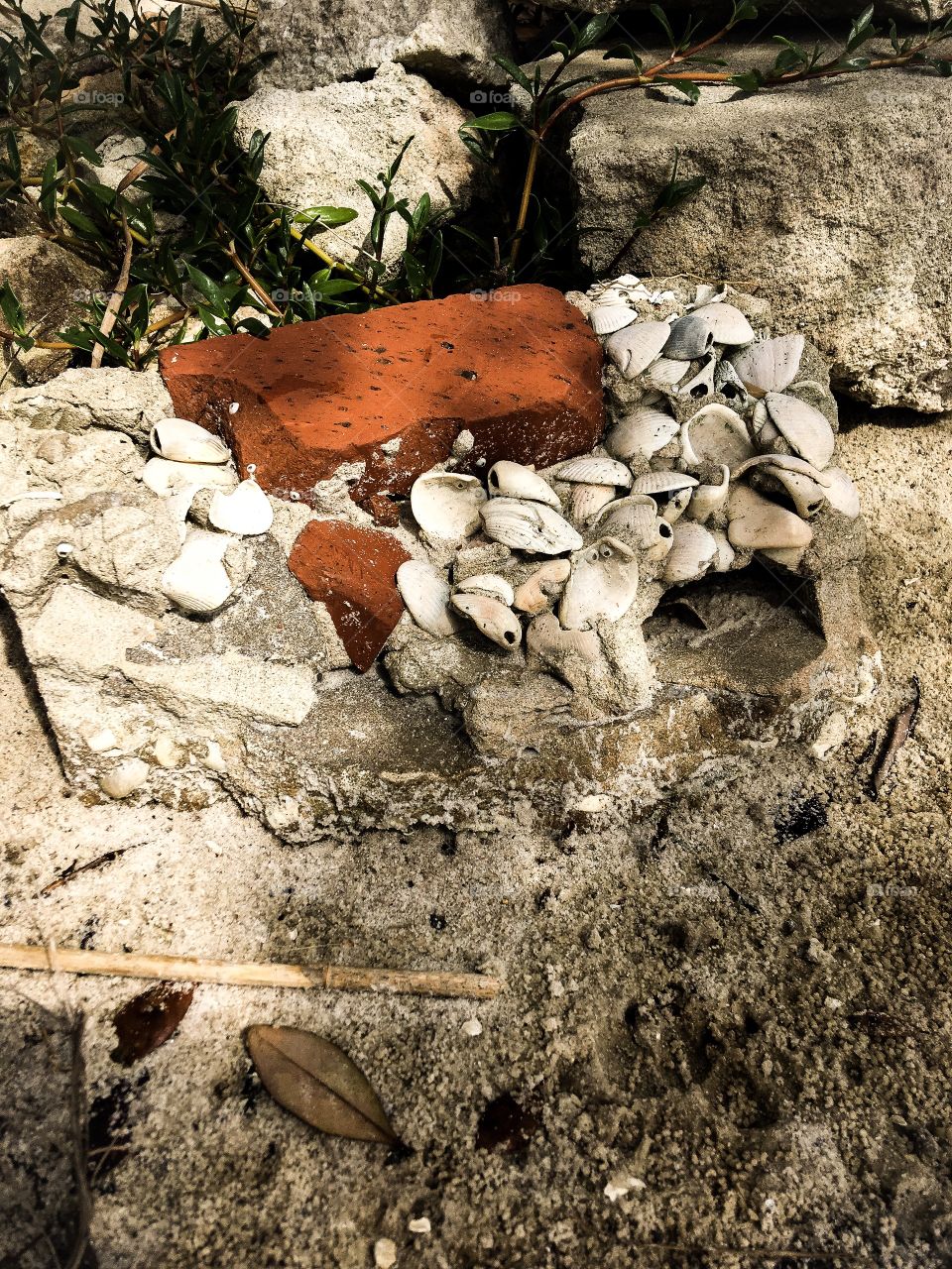 On the shoreline of Indiana River.