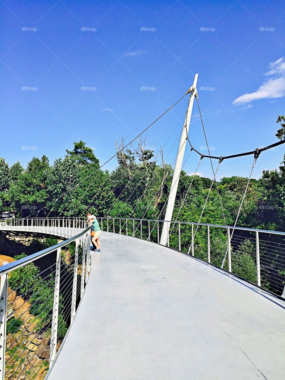 The Bridge at Reedy Park 