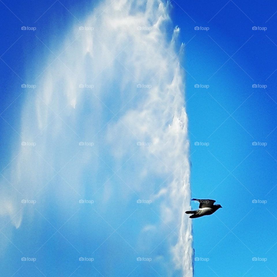 jet d'eau de Genève