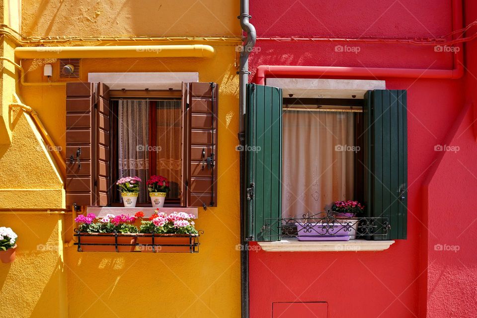 Windows in houses with colored walls