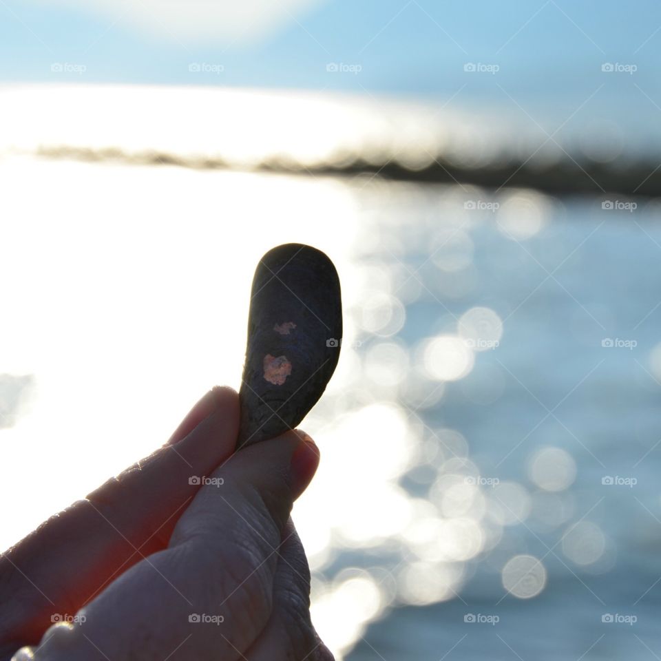 She sells sea shells. Close up of a shell 