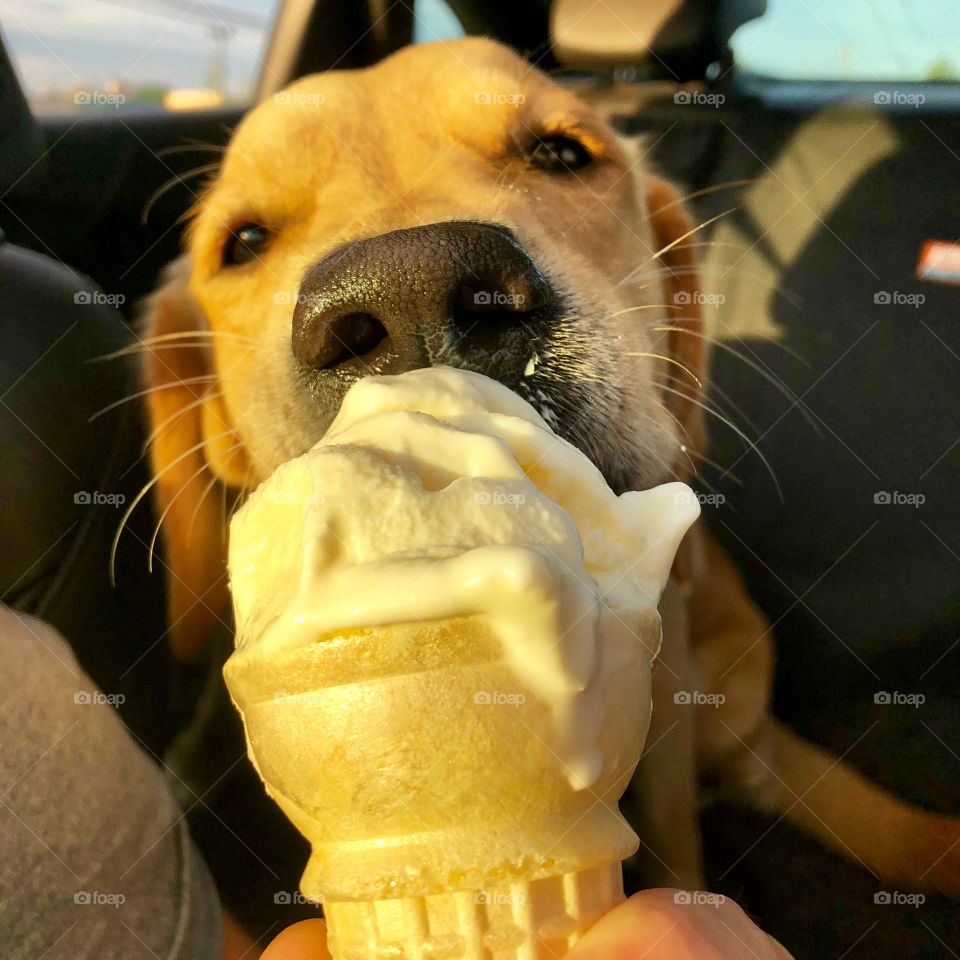Nothing sweeter than ice cream on a summer day