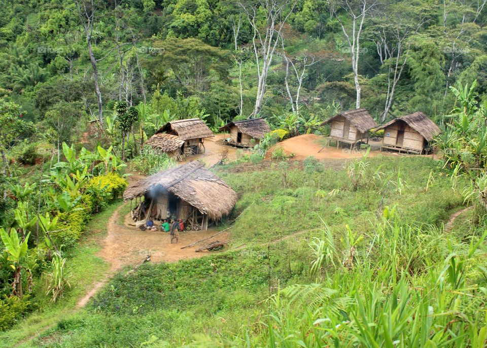 Houses in the countryside