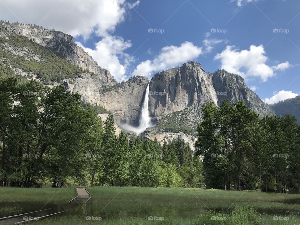 Yosemite National Park