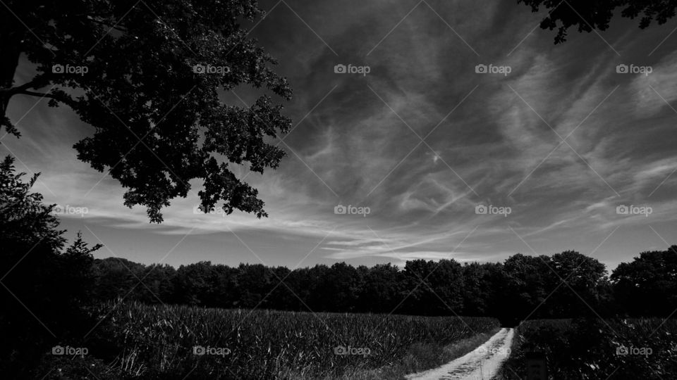 Landscape in Belgium.