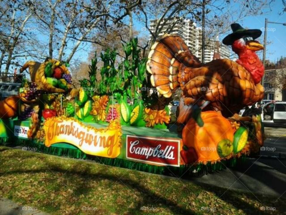 Thanksgiving  big Turkey.